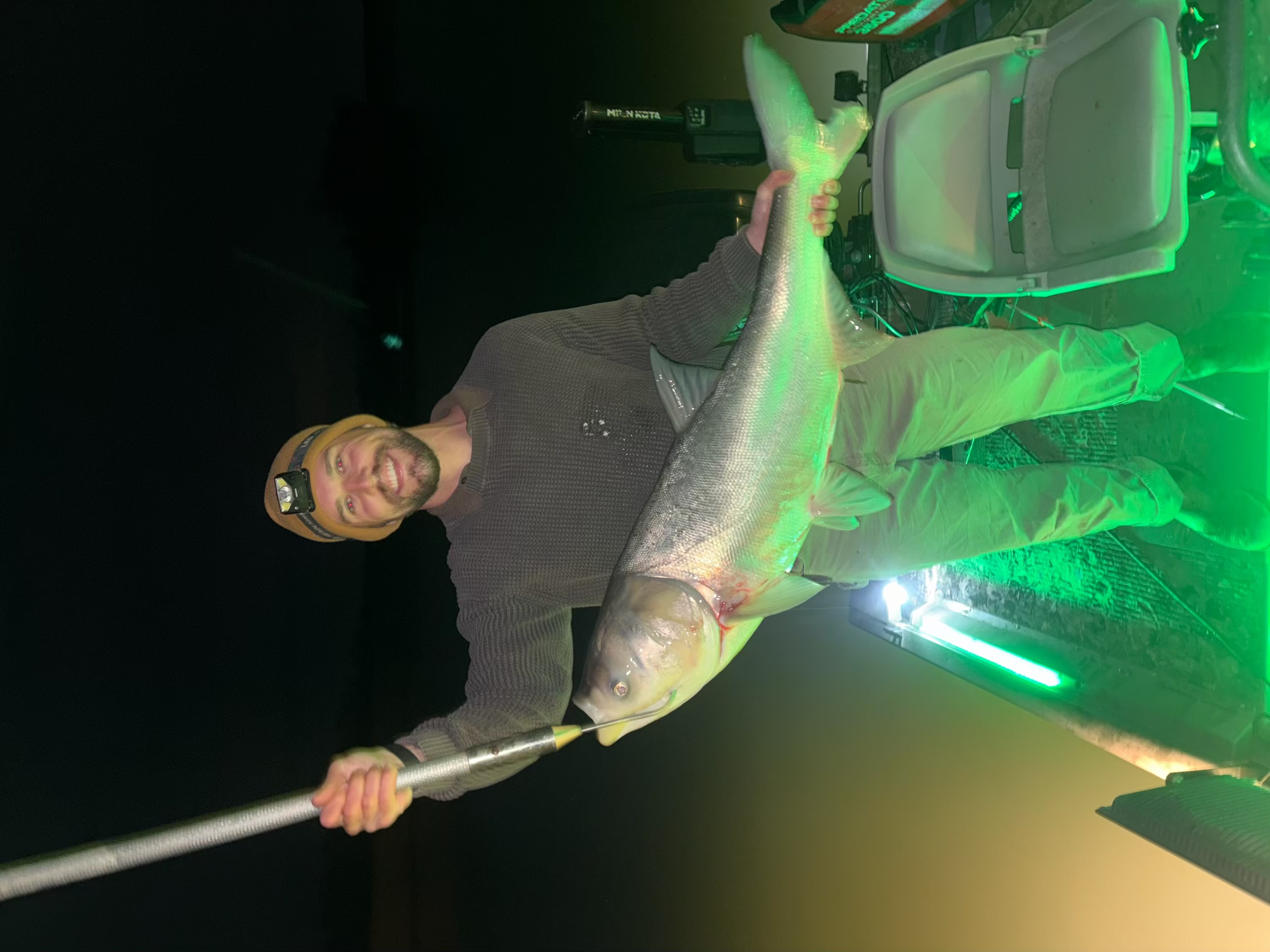 Monster buffalo carp bowfishing